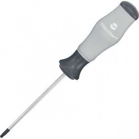 Torx T20 Schroevendraaier BMW