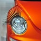 Auto Koplamp Wimpers
