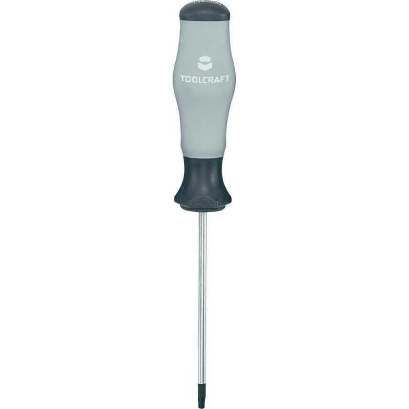 Torx T20 Schroevendraaier BMW