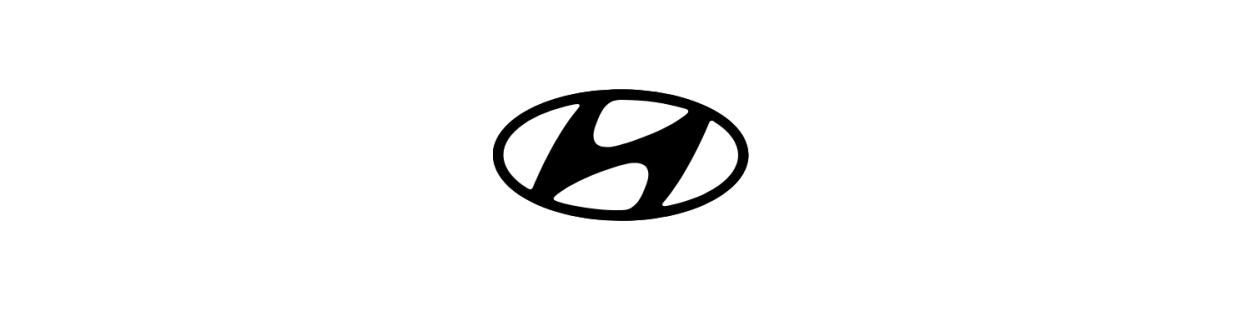 Hyundai Achteruitrijcamera's