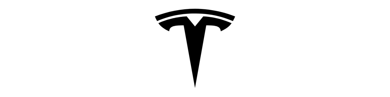 Tesla Camera's