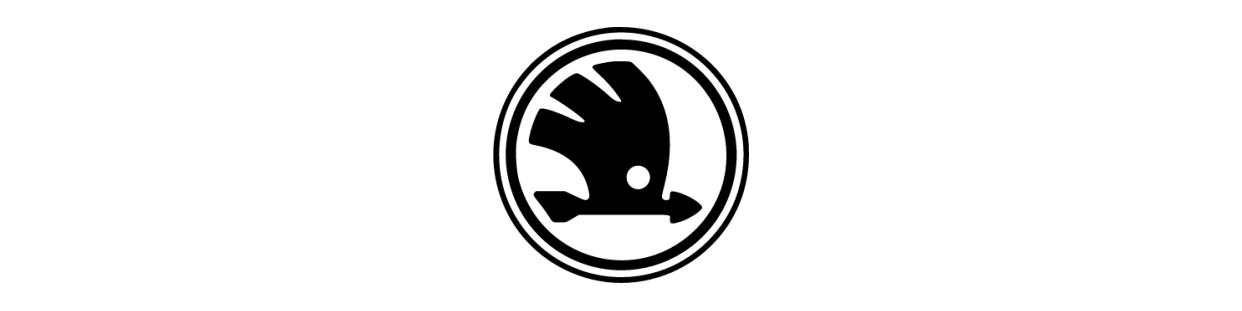 Skoda achteruitrijcamera