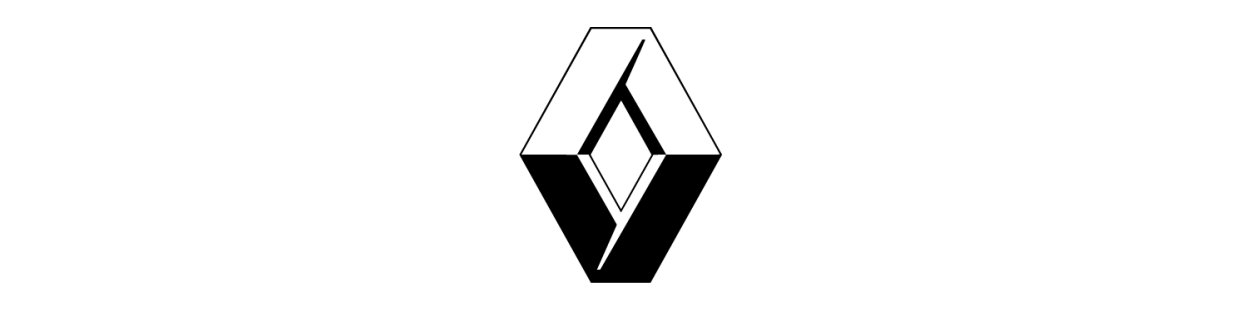 Renault Achteruitrijcamera's